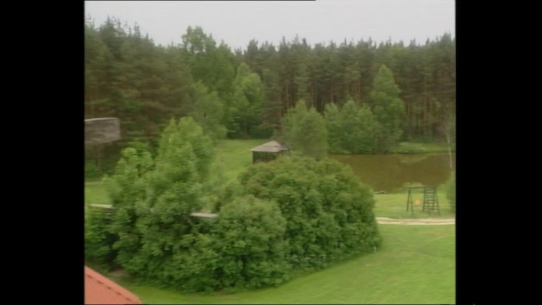 Deutschland porn: 수줍은 잃어버린 양