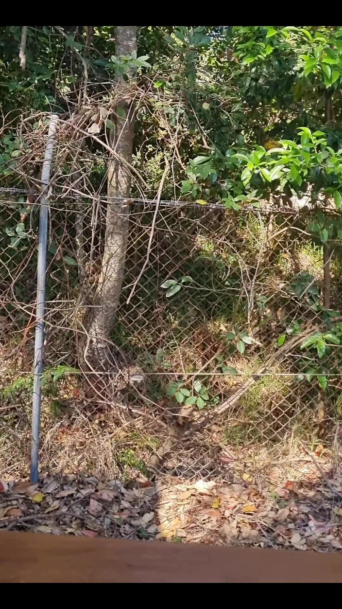 yogiyumyum: To było miłe