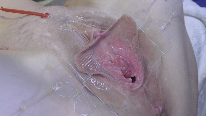 deep keely: 3 Lízání kundičky Roztažené daleko od velmi blízkého