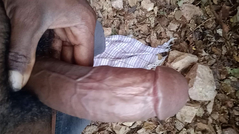 Somashekar studio: Estudio somashekar