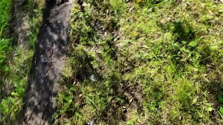 qaz11: A Quick Handjob by the River