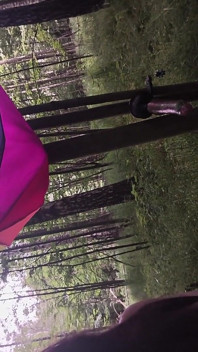 I Went to the Forest to Get a Tree