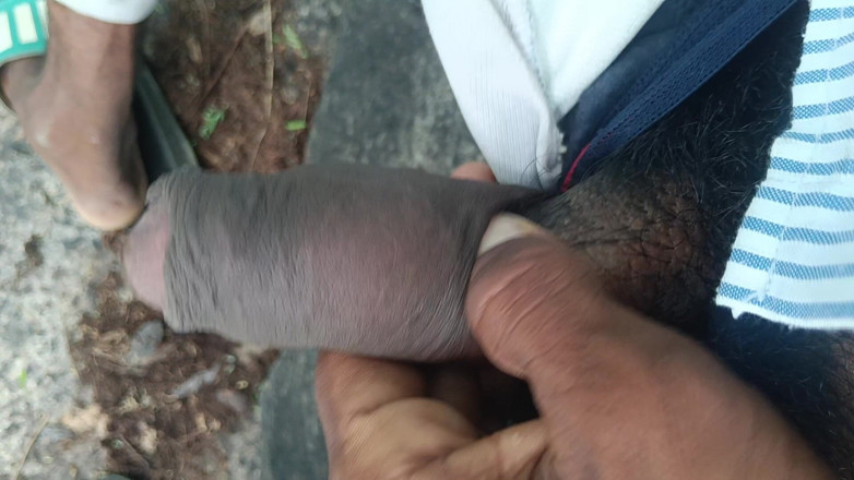 AURA THINGS: Big Black Dick