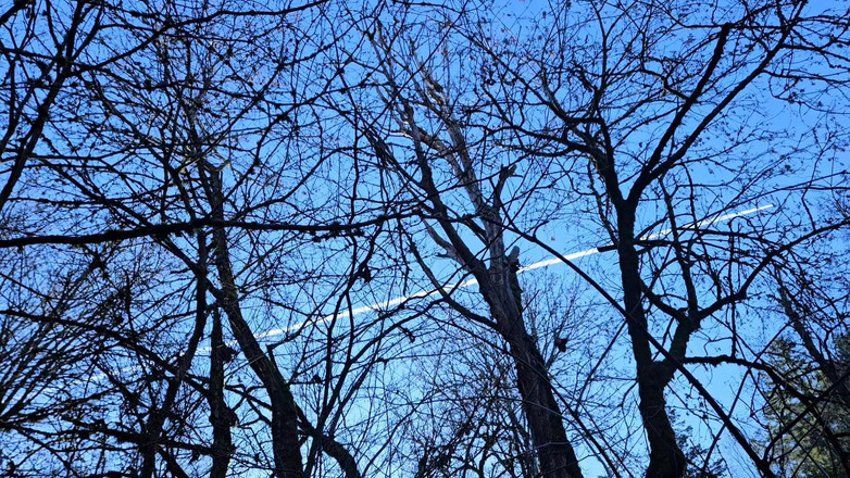 Nerdy_faery: Einige Natursekt-dinge