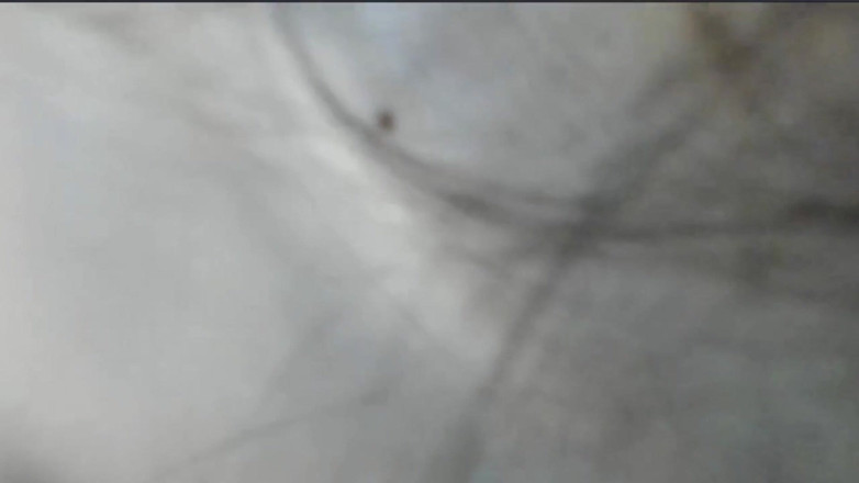 LiliBralee: Sexo Nu Dançando Duro