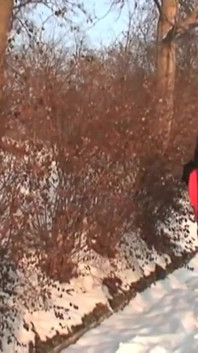 Exhibitionisten haben sex im schnee vor passanten schamlos