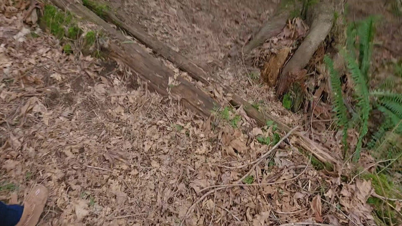 Nerdy_faery: Binnen plassen, buitenshuis plassen