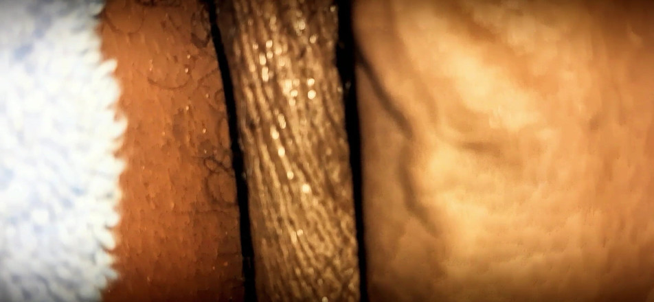 Chocolate Meat Stick: Soft nesestříhaný BBC zpomalený záběr zblízka