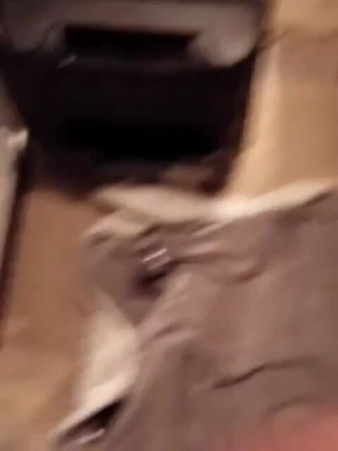 Richard Sak: 미스터 행키즈 토이 제프