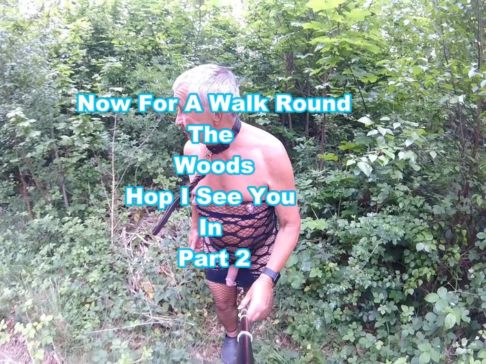 Andy: 步行 28 2025