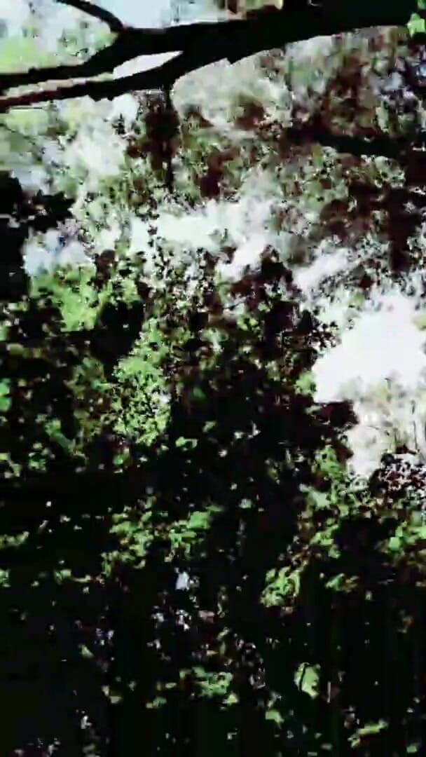 Slutboyben: Slutboyben Cam4