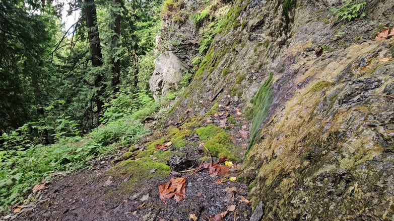 Nerdy_faery: Cascata Disperata