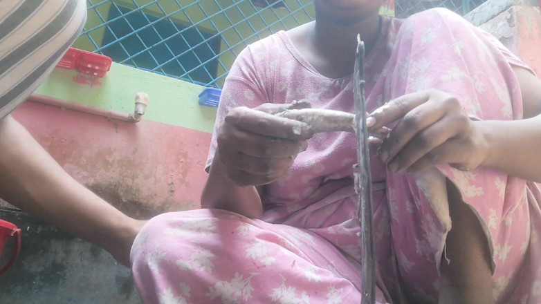 Skakoi: Desi Vabi desfrute de namorado ou sessão real