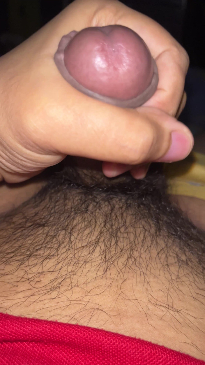 RDPN: I'm Going to Masturbate Until I'm Bored with Cum