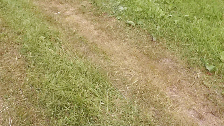 XXX-Platinum: 차 뒷좌석에서 섹스를 보는 임의의 행인. 야외