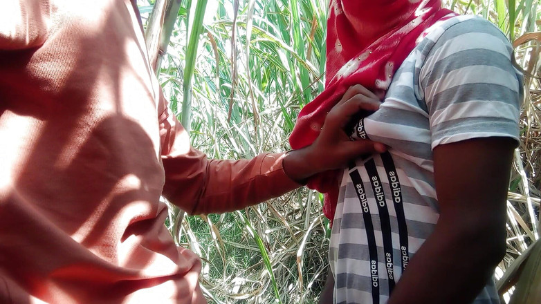 Indian Hijraji: Shemale a řidič kamionu šli na pole cukrové třtiny a sáli ptáka...