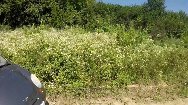 Polly Sweet: Scopata all'aperto con un ragazzo vicino alla macchina (mangia il suo...