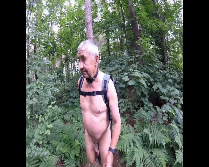 Andy: 第2部分 在树林里散步