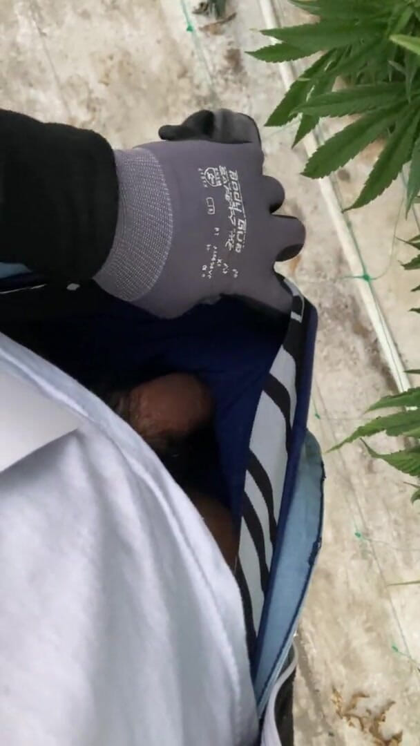 Xooshua (xblue18): Gay Twink s velkým ptákem