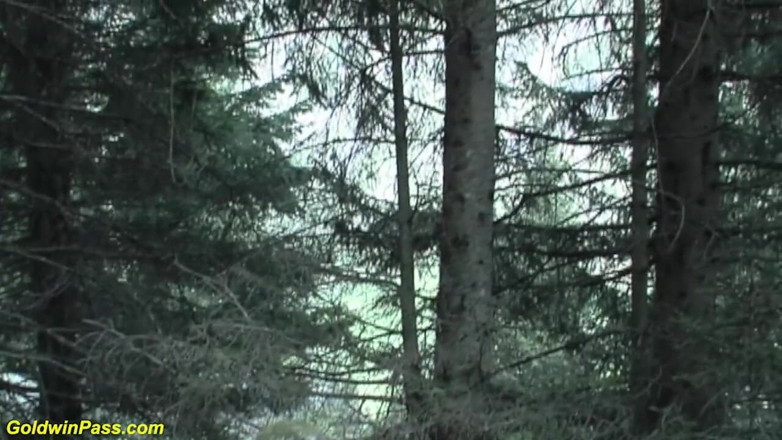 Goldwin pass: Threesome outdoor action with german girls