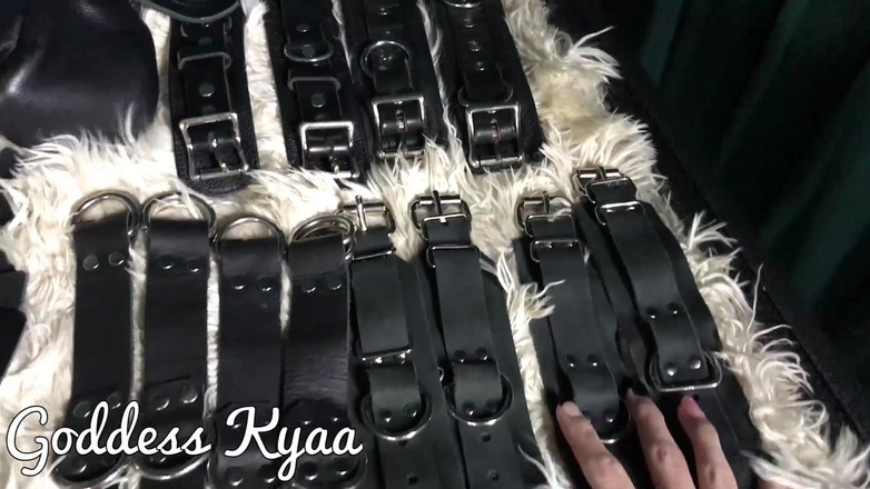 Kyaa Chimera: Prendendo il bilancio