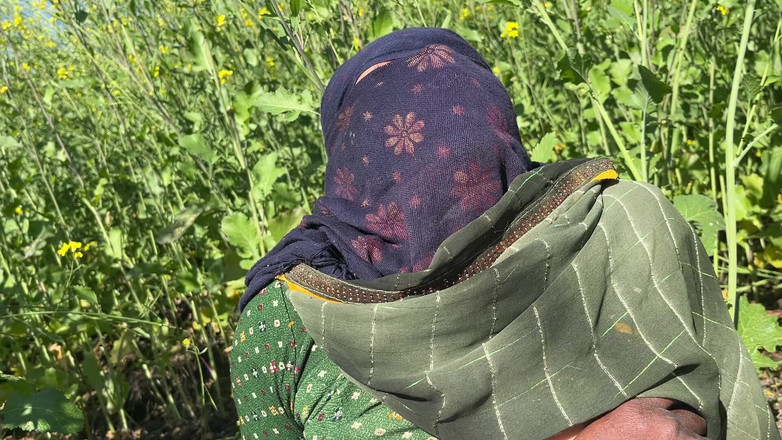 Ritu: Gift styvsyster har kul med sin styvbror i byn Fields...