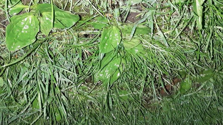 Lesbian-candys: Depois de uma caminhada, duas garotas do interior fodidas quentemente...
