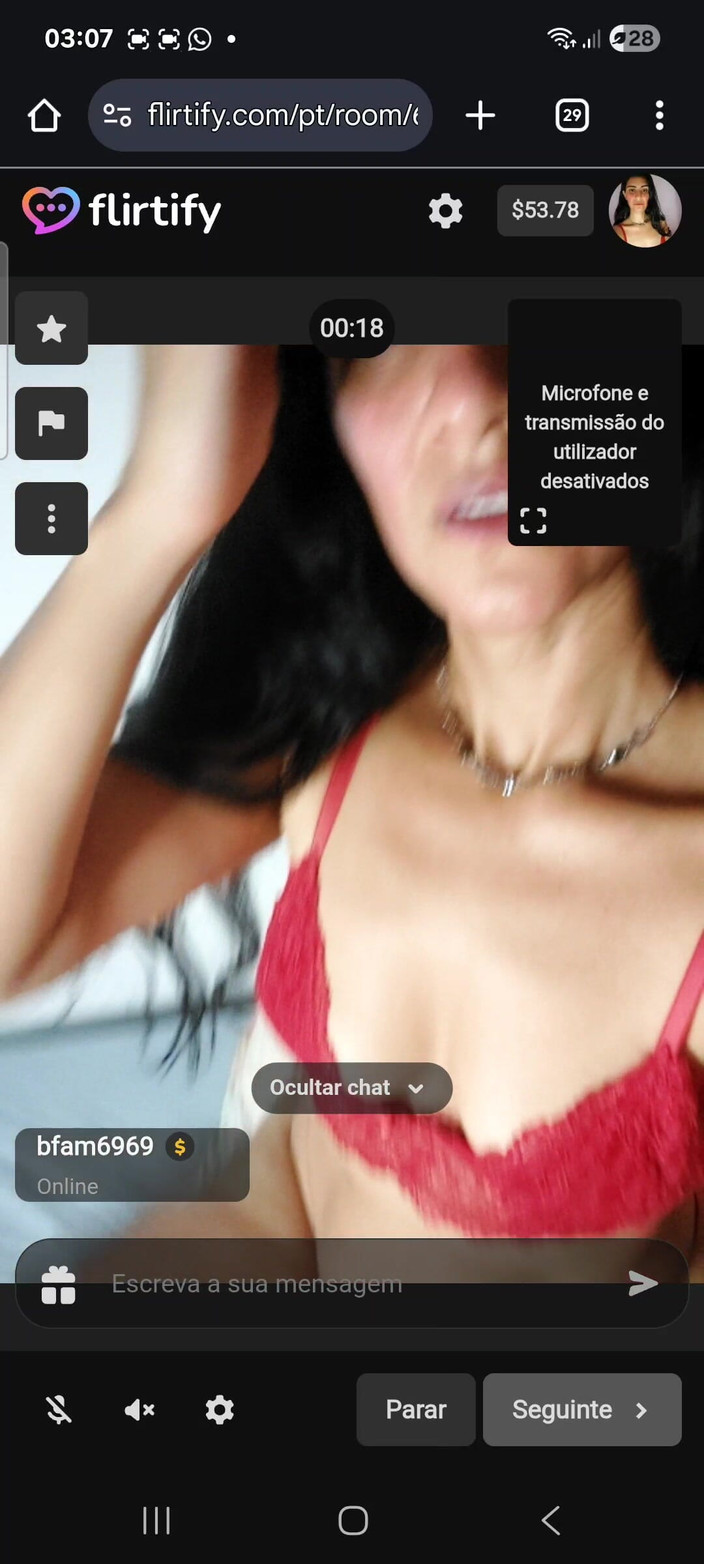 Renatinharj: 我给Vanessinha打电话，对她手淫