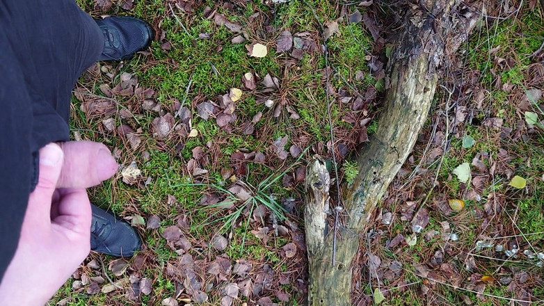 Carmen_Nylonjunge: Küçük penis işiyor