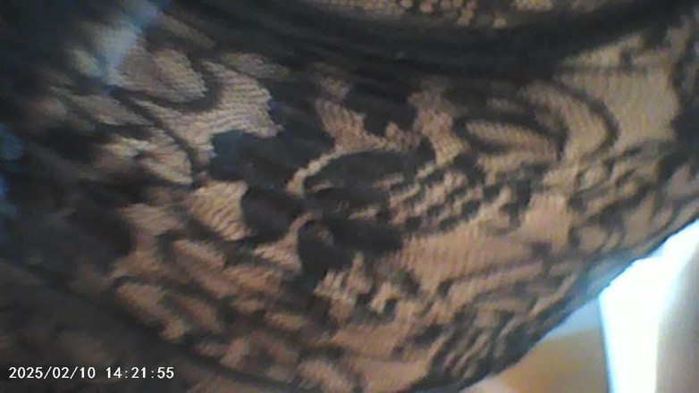 anakanakami: Lipiți-o de ușa de sticlă și anihilați-o