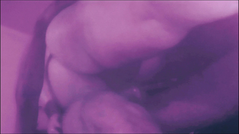 Lily & Theo: Карнавал - це час грішити, задовольнити себе у своєму гроті задоволення і намочити землю своєю душею