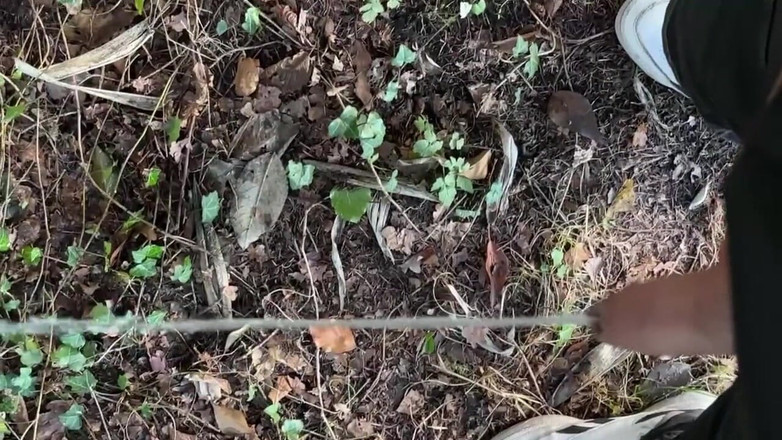 Fratchino: Lelaki ini menarik keluar zakarnya dan mengambil kencing