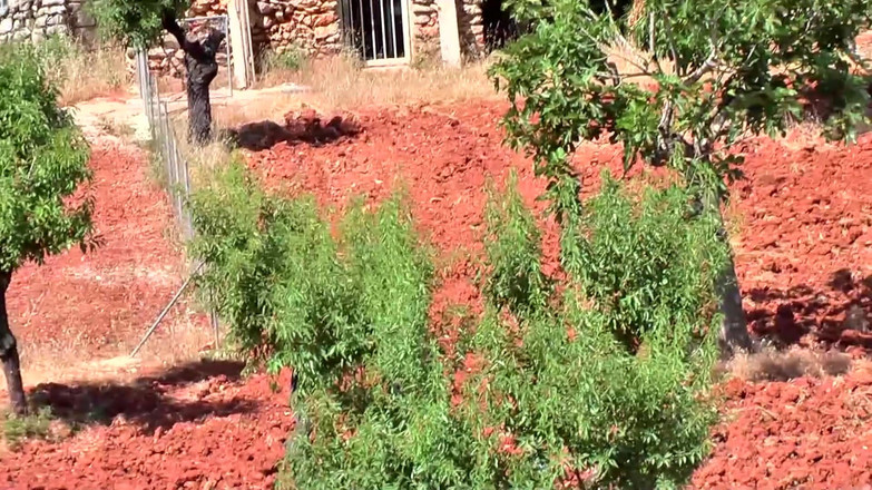 German Porn: Rubia Junto a La Piscina, Doble Penetración, Éxtasis