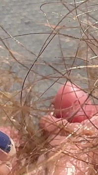 Amateur Hairy Girl Mastubates in Closeup with Huge Clit