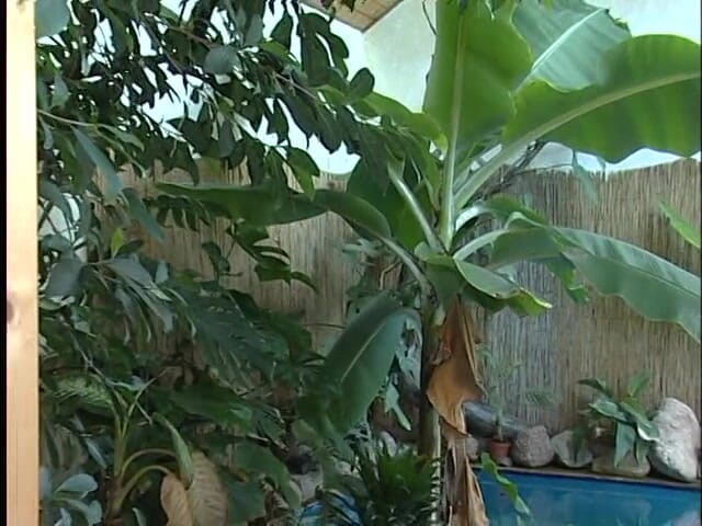 Xfucks: Mature redhead gets tight butt hole fucked and mouth jizzed
