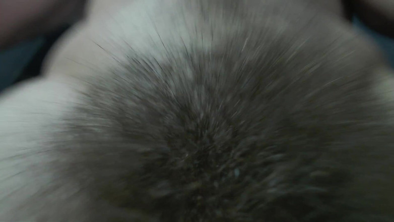 Hunky time: A Alpha's Hairy Pubic Area and Cock