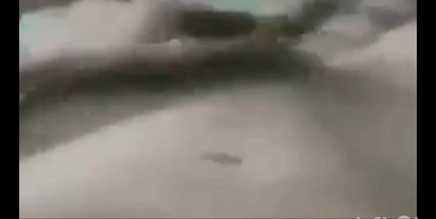 RoyToyBoi: Sega Kinda Day