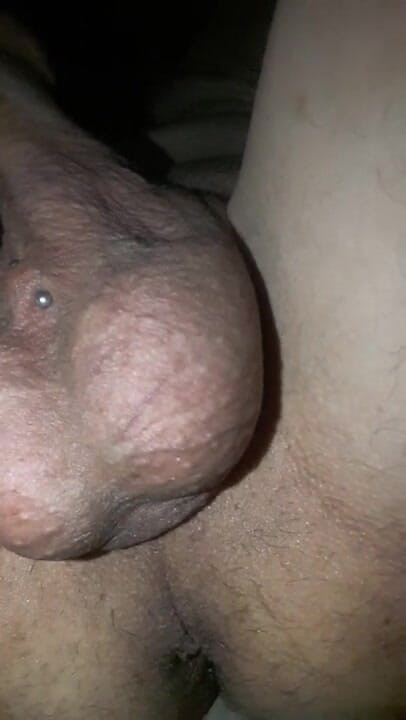 Renoreis: My piercings