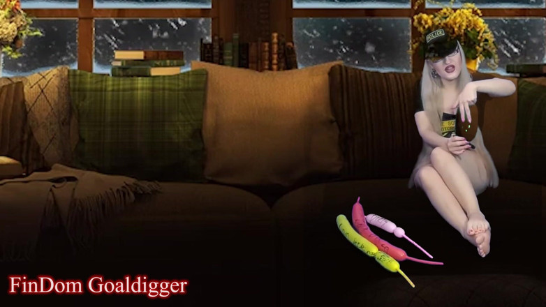 FinDom Goaldigger: Cyber CEI