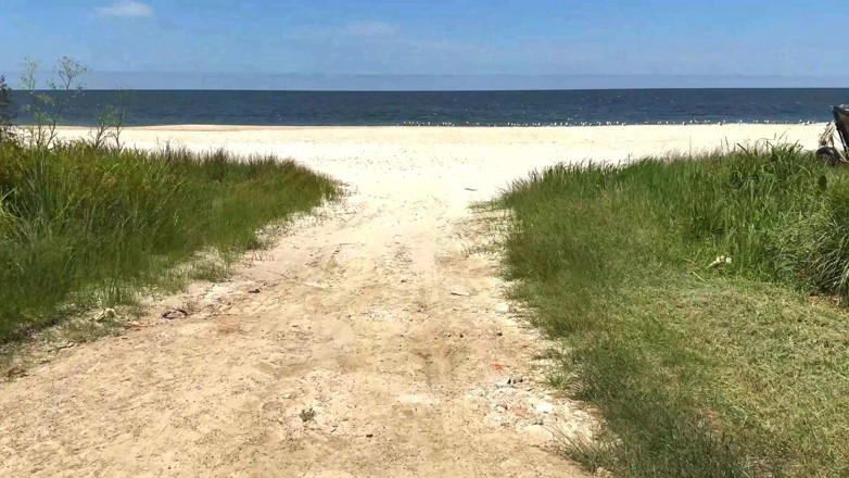 Fefo23x6: We Travel to the Beach of San Luis