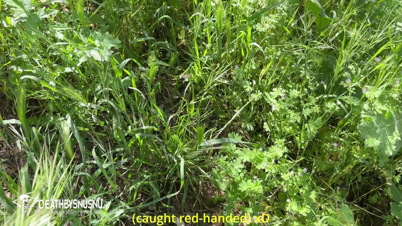 Pamsnusnu: Jazda kolejką linową w Madrycie Country House z cycatą laską...