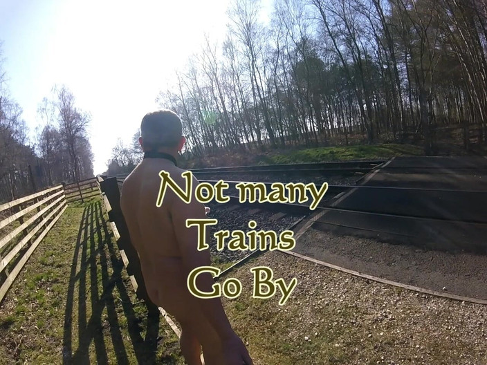 Andy: 第7回ウォーク2025