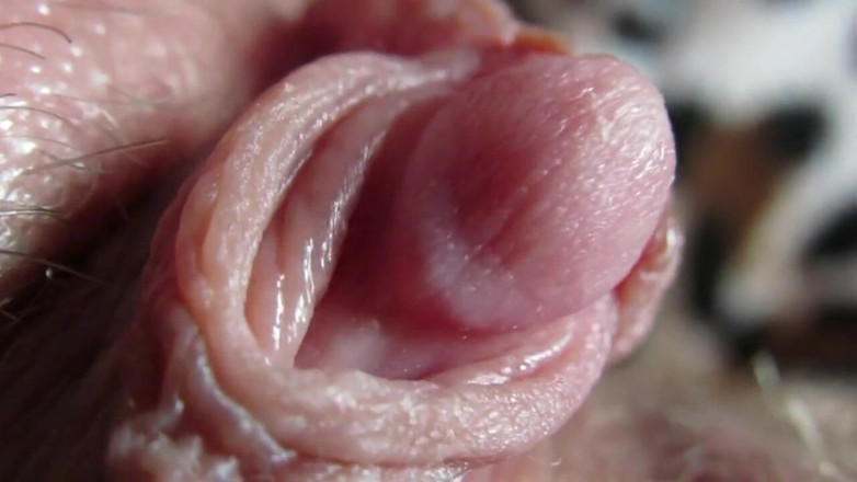 Cuteblonde666: Big clit compilation 2