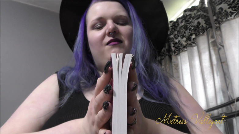 Mxtress Valleycat: A well read nob
