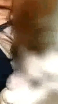 Blowjob di tempat kerja