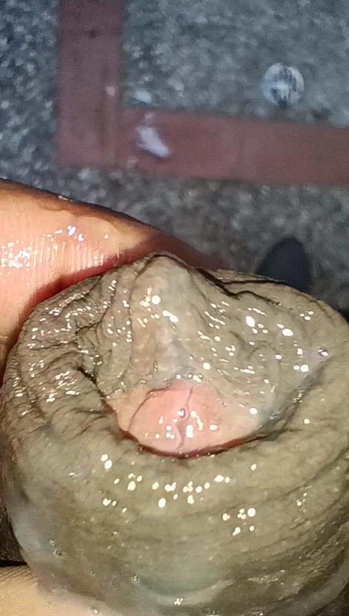 Tommhot: Masturbuji a na Dvoře sténá a mluví sprostě