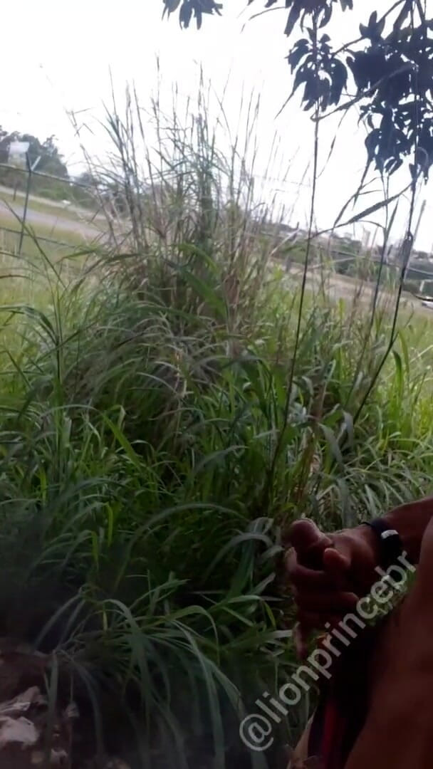 Lion prince: Nature inspires me