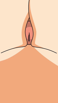Dragon Ball Android 18 Fucked Hard Creampie Hentai