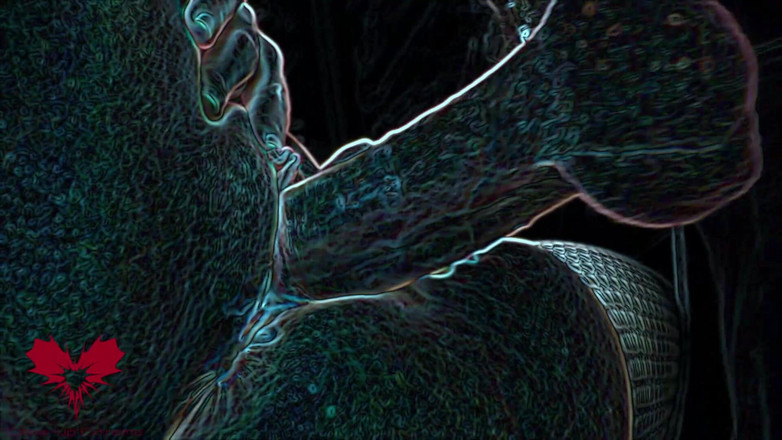 Close Up Extreme: Сатанинська пизда трахається на секс-гойдалках. Сперма капає з її мокрої пизди. Edge Fx версія. Основний вид.