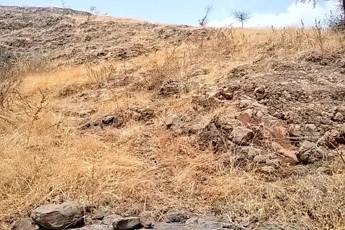 FrozenOpenair8: BMブリリアント